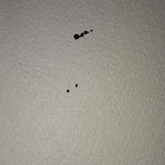 Hand drum - Picture 4 of 4